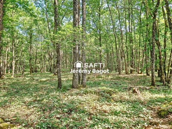 Ensemble immobilier sur plus de 2,7 hectares de nature préservée