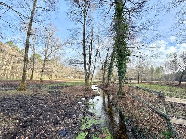 Terrain en zone naturelle - 33770 SALLES