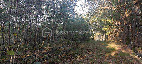 Terrain de 1 428 m²