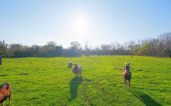 Maison à vendre    8 pièces •  Noyon