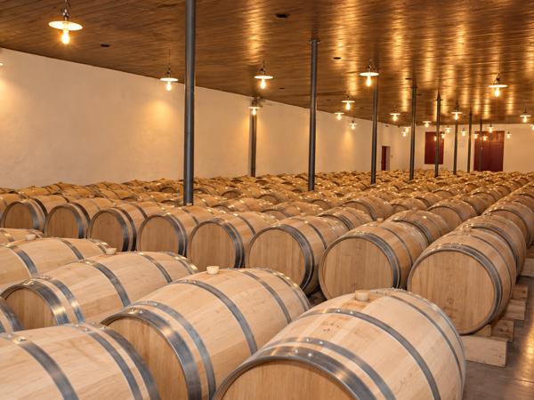 Commerce à vendre à Moulis-en-Médoc (33480) - Gironde
