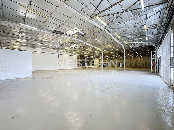 A vendre Local commercial Pavie 1350 m2 avec un parking de 4000m2