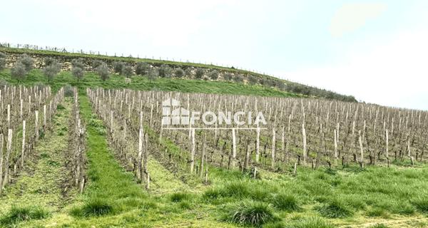 À vendre Studio 35 m² - Castillon-la-bataille 33350