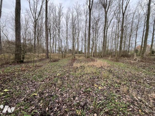 SAINT VENANT - terrain de 34.604 m² 