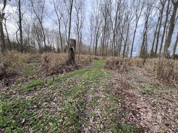 SAINT VENANT - terrain de 34.604 m² 