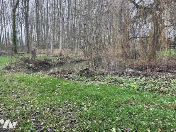 SAINT VENANT - terrain de 34.604 m² 