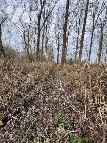 SAINT VENANT - terrain de 34.604 m² 