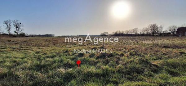 Terrain à SOINGS-EN-SOLOGNE, 41230 - 2969m²