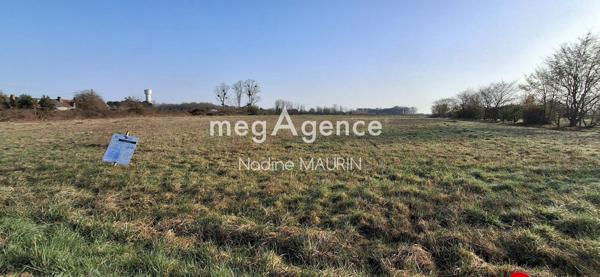Terrain à SOINGS-EN-SOLOGNE, 41230 - 2969m²