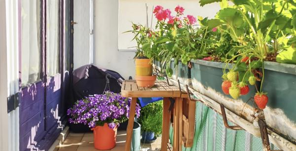 Appartement T4, à vendre 4 pièces FONTENAY LE FLEURY (78) dernier étage