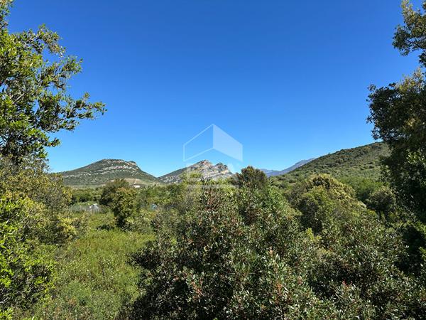 Appartement T3 terrasse et jardin privatif - rez-de-chaussée