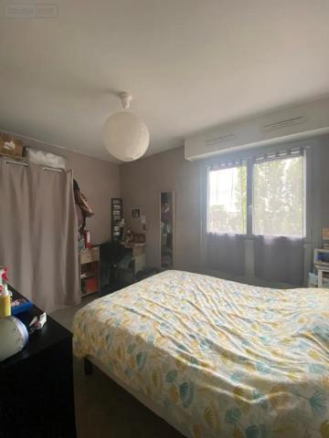 Location - Appartement Angers 49100 4 pièces 78 m 2