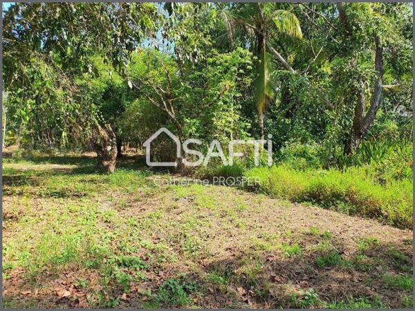 TERRAIN CONSTRUCTIBLE à VENDRE à SINNAMARY