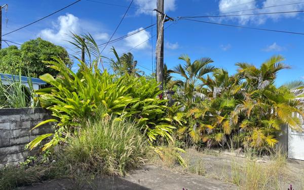 Maison à vendre    6 pièces • 164 m2 Le Moule