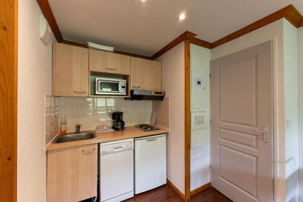 Vente appartement Besse-et-Saint-Anastaise (63610) 2 pièces 31.09m²