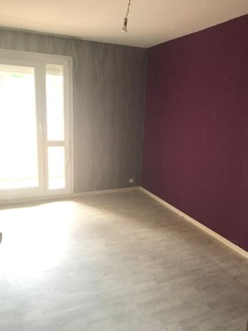 Appartement à SAINT JEAN DE BRAYE (45800)