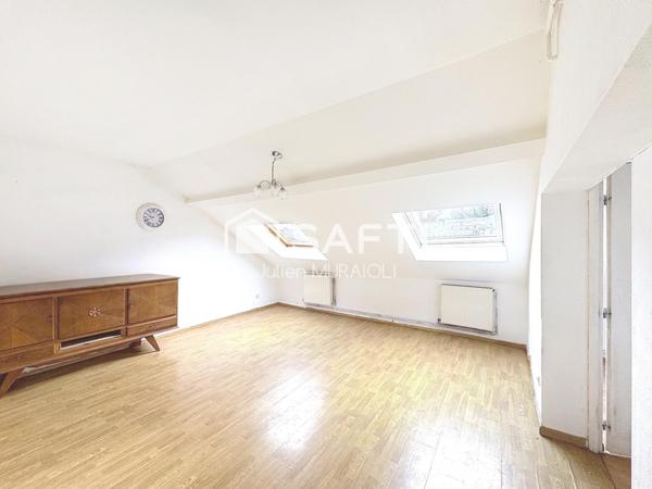 Idéal Investisseur : T3 45m2 (carrez) 65m2 au sol