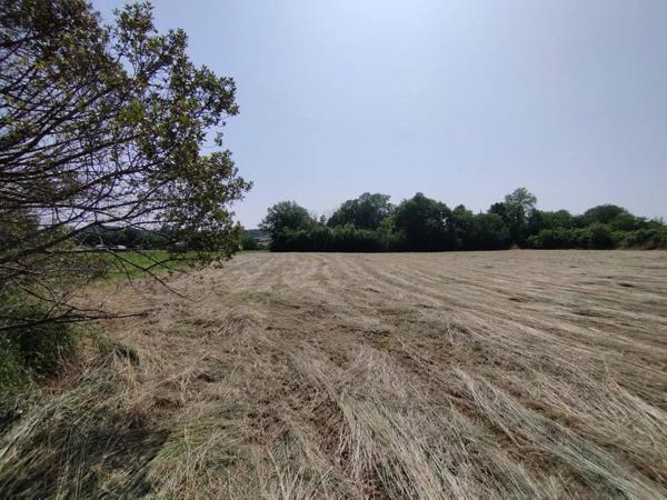 Grand terrain de 3925 m² à Castelnau-Montratier – À saisir à prix canon !