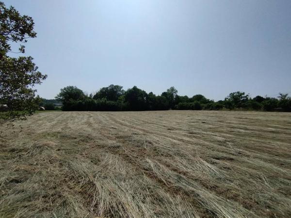 Grand terrain de 3925 m² à Castelnau-Montratier – À saisir à prix canon !