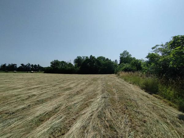 Grand terrain de 3925 m² à Castelnau-Montratier – À saisir à prix canon !