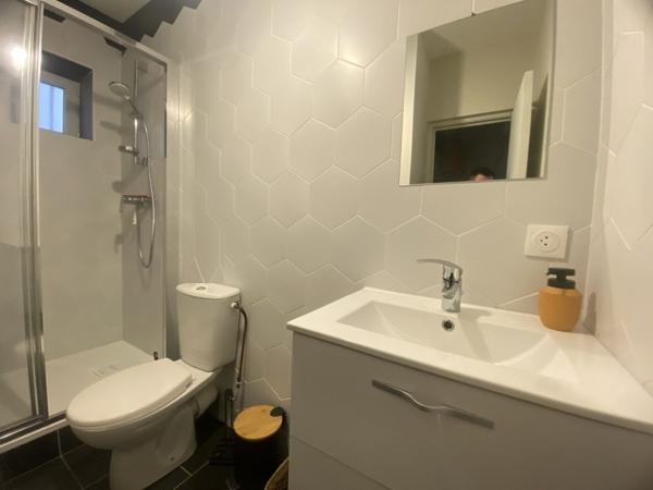 03200 VICHY APPARTEMENT MEUBLÉ 4 PIÈCES AVEC BALCON AVEC CAVE COEUR DE VILLE