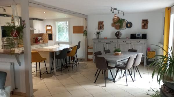 Yenne (73170) VILLA DE 167 M² SUR 4216 M² DE TERRAIN CLOS