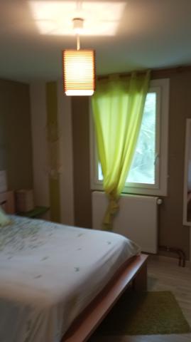 Yenne (73170) VILLA DE 167 M² SUR 4216 M² DE TERRAIN CLOS