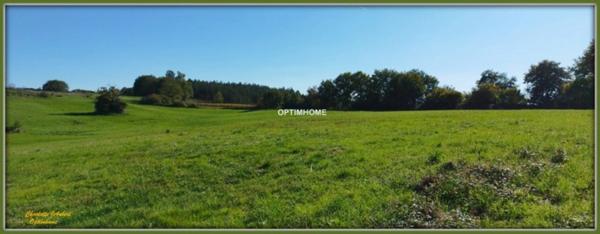 Grand corps de ferme plein de charme, proche de MONTMOREAU SAINT CYBARD (16)