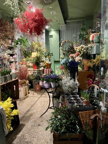 Fonds De Commerce - 58 m² Exclusivité efficity