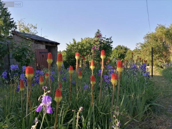 Maison de ville à vendre à Descartes dans l'Indre-et-Loire (37160), ref : 082/324