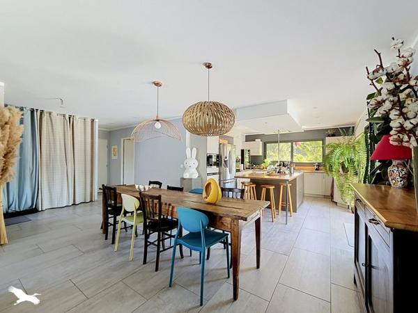 Maison 556 500 € Hourtin 6 p 146 m² DPE A