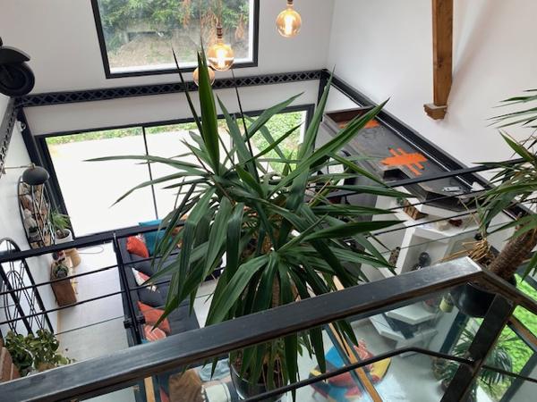 Saint-Méloir-des-Ondes (35350) Maison d'architecte de 2025