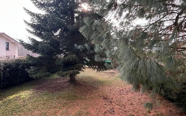 Maison à louer    5 pièces •  Nangy