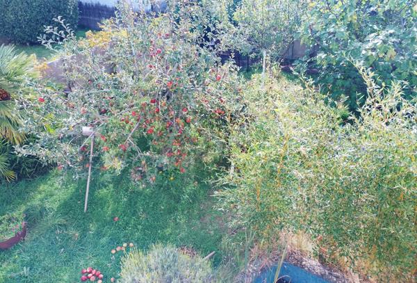 Maison individuelle à SAINT GILLES CROIX DE VIE (85800)