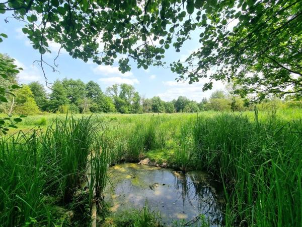 Vente / Immeuble à Nemours (77140)