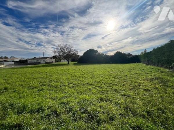 TERRAIN A BATIR non viabilisé