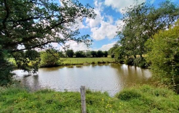 Vente Maison ref.7198 terrain 2.7 ha à rénover Javron-les-chapelles   