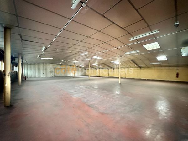 Vente Entrepôt / Local industriel2800 m² - LE PUY EN VELAY (43000)
