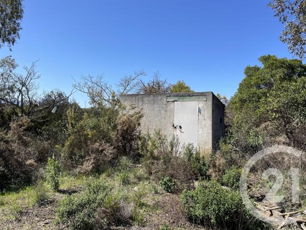 terrain à vendre 13479 m2 LLAURO - 66