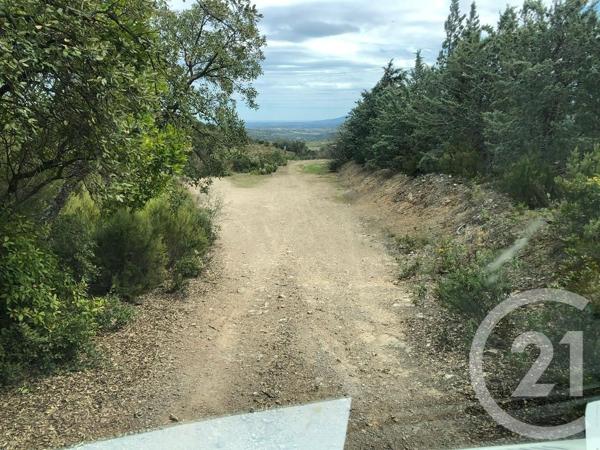 terrain à vendre 13479 m2 LLAURO - 66