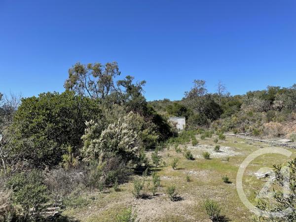 terrain à vendre 13479 m2 LLAURO - 66