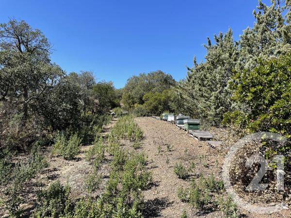 terrain à vendre 13479 m2 LLAURO - 66