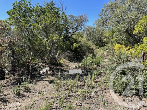 terrain à vendre 13479 m2 LLAURO - 66