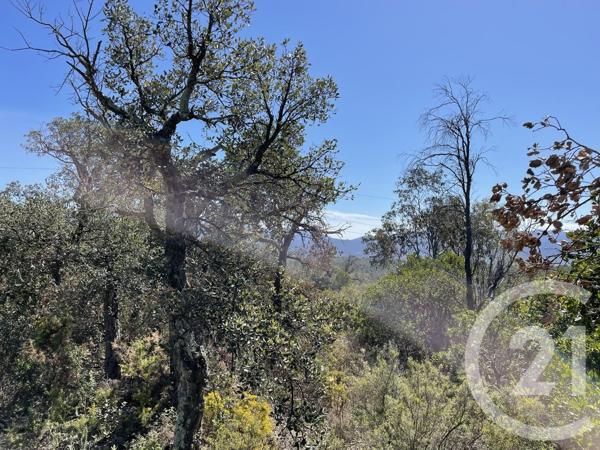 terrain à vendre 13479 m2 LLAURO - 66