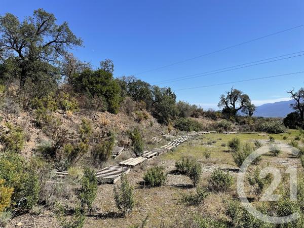 terrain à vendre 13479 m2 LLAURO - 66