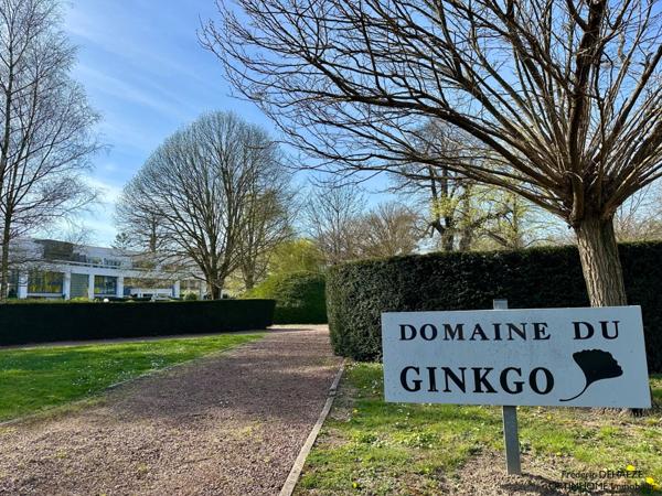 Exclusivité – Élégance et lumière dans le prestigieux Domaine du Ginkgo à Lambersart