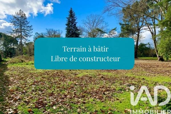 Terrain à vendre 600 m² Magescq