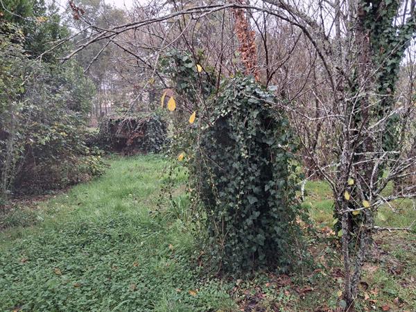 Terrain Pontchateau 600 m2