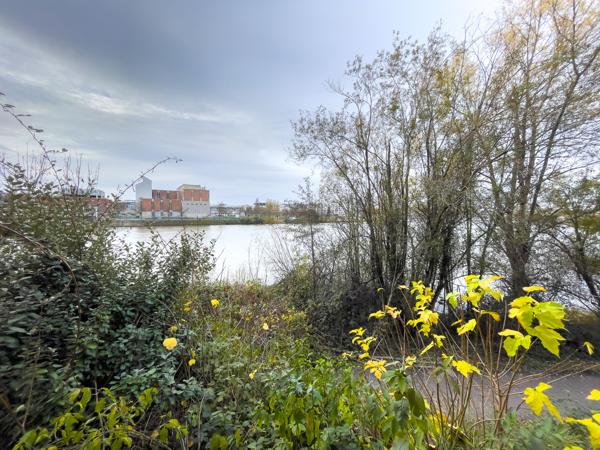 Appartement 3 pièces - 69 m² Exclusivité efficity