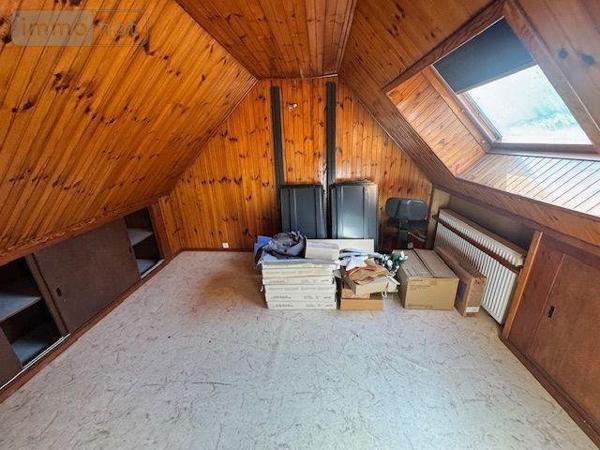 Murs commerciaux à vendre à Saint-André-lez-Lille dans le Nord (59350), ref : LC913